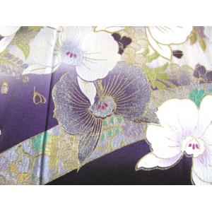 金彩友禅 胡蝶蘭 黒留袖レンタル 236番 2...の詳細画像5