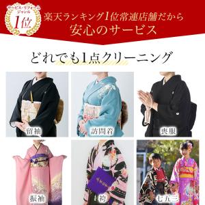 着物 クリーニング 丸洗い しみ抜き プレス付...の詳細画像1