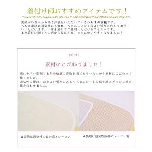 【30%OFF対象品】大人 へちまの帯板 へち...の詳細画像1