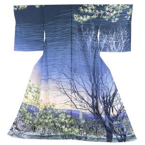 訪問着 富士山 世界文化遺産 日本シリーズ 結婚式 礼装用 夜景 夜明け