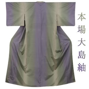 中古 本場 大島紬 着物 リサイクル カジュアル 正絹 泥大島 7マルキ 茶