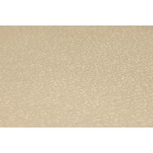 色無地 正絹 反物 万葉色花火 薄茶 ベージュ...の詳細画像5