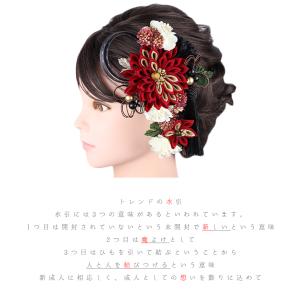 髪飾り 成人式 つまみ細工 水引 シフォンジョ...の詳細画像3