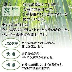 洗える長襦袢 爽竹 東レ 縦絽 日本製 バンブ...の詳細画像1