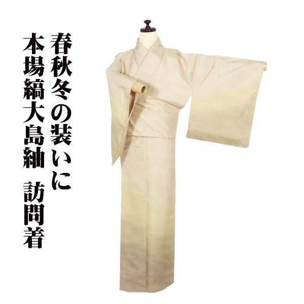染大島紬 訪問着 袷 正絹 ベージュ 黄緑 赤茶 暈し 7号 Lサイズ ki29642 新品 ほうも...