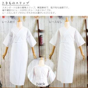 長襦袢 着付け小物 フルセット 12点セット ...の詳細画像5
