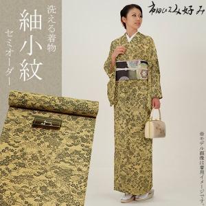 j19.12  2点おまとめ　市田ひろみ　洗える夏着物　化繊　蜻蛉 Prices down2）セミオーダー 洗える 夏着物 絽 反物 市田ひろみ