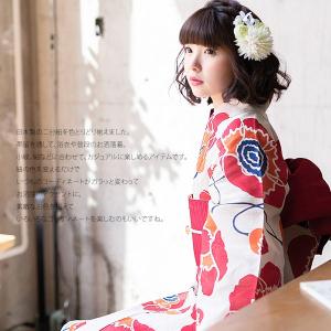 二分紐 帯締め 選べる全12色「白 紺 橙 黄...の詳細画像1