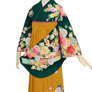 (中古品)卒業式袴セット 「二尺袖：深緑 雪輪牡丹に熨斗+袴：金茶×菊