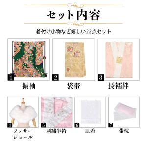 未仕立て 振袖 22点セット「緑 流水に菊梅桜...の詳細画像1