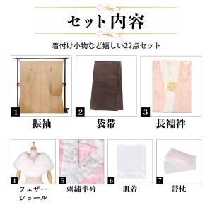 未仕立て 振袖 22点セット「Vサンク ベージ...の詳細画像1