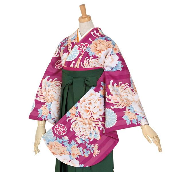 (中古品)二尺袖 単品「赤紫 ストライプ牡丹と菊」貸衣装処分 レンタル処分品 卒業式 (メール便不可...