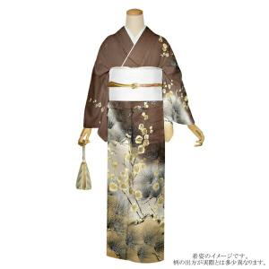 正絹訪問着 353-3M