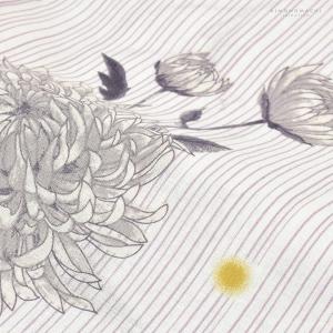 浴衣 レディース 女性浴衣単品「白地 細縞に菊...の詳細画像4