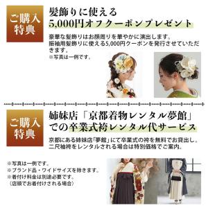 未仕立て 振袖 22点セット「紺 牡丹に熨斗」...の詳細画像3