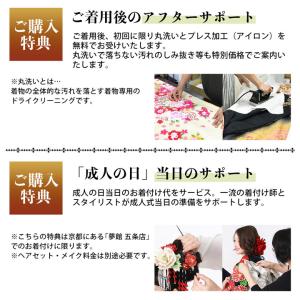 未仕立て 振袖 22点セット「紺 牡丹に熨斗」...の詳細画像5