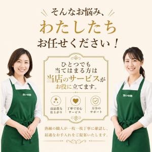 【今日使えるクーポンあり】訪問着クリーニング ...の詳細画像3