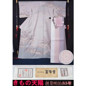 新品仕立上品　夏物　夏牛首紬の洒落訪問着と袋帯、帯揚げ、帯〆の４点セット　白山工房製　夏牛首紬　裄長 トールサイズ 送料無料｜kimonotenyou