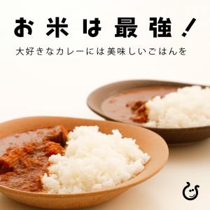 びわ湖米 ブレンド米 5kg 滋賀県産 令和7...の詳細画像2