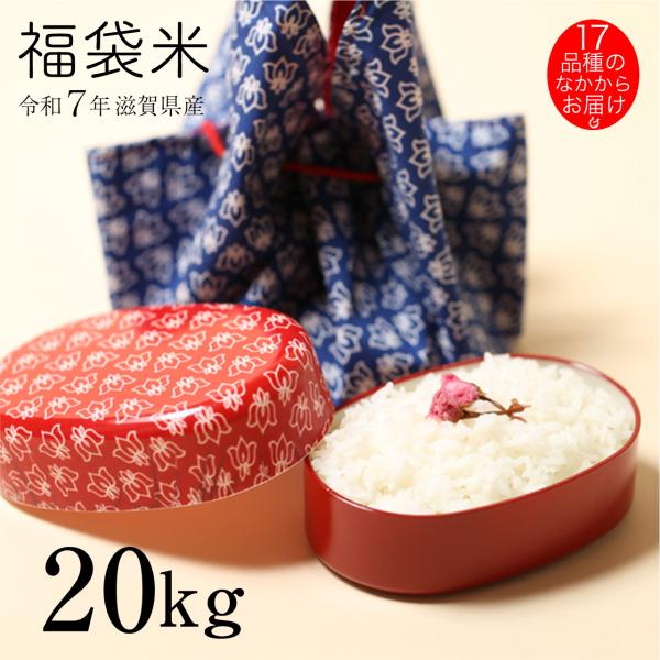 新米 白米 玄米 福袋米 20kg 10kg×2袋 滋賀県産 令和7年 1品種でのお届けとなります ...