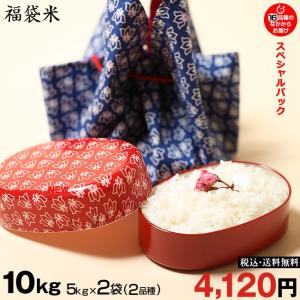 福袋米スペシャルパック　白米10ｋｇ（5×2袋）【平成28年：滋賀県産】