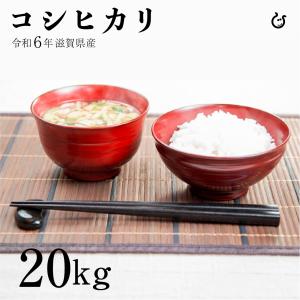 コシヒカリ 白米 玄米 20kg 令和5年 滋賀県産 米 お米 環境こだわり米 送料無料 100