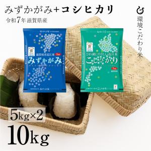 日本の銘米 米 10kg みずかがみ 滋賀県産 近江米 お米 10キロ 令和7