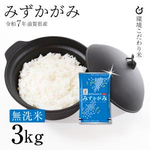 無洗米 みずかがみ 2kg 滋賀県産 令和7年 60 : 近江の国から木村商店