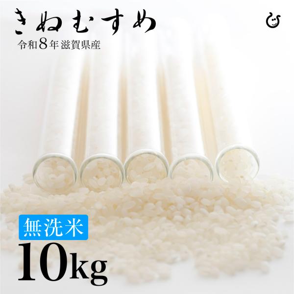 新米 ★★無洗米★★ きぬむすめ 10kg 5kg×2袋 滋賀県産 令和7年 80