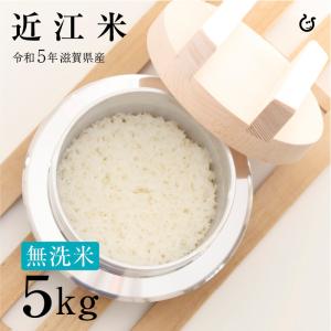 新米 無洗米 近江米 5kg 令和5年 滋賀県産 米 お米  80