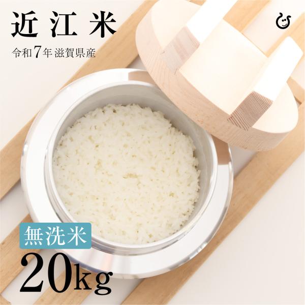 新米 ★★無洗米★★ 近江米 20kg 10kg×2袋 滋賀県産 令和7年 100