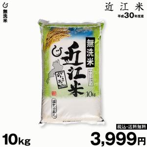 米 お米 無洗米 10kg×1袋 近江米 滋賀県産 令和元年産 送料無料 即日配達