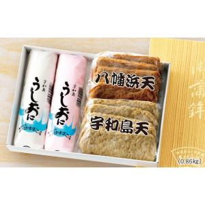 Ａセット [化粧箱代込・送料無料] [じゃこカツ同梱不可]｜四国松山・市駅前 木村蒲鉾店