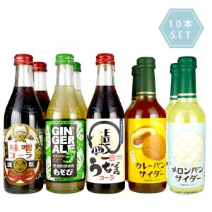 変わり種 コーラ ジンジャーエールセット （わさびジンジャー、うなぎ、カレーパン、メロンパン、岡崎味噌）　240ml 5種 10本セット 木村飲料 地サイダー 瓶