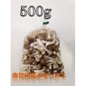 南信州産　カットぶなしめじ　500g