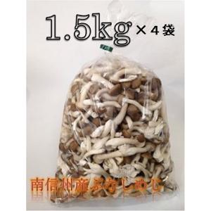 南信州産 カットぶなしめじ 6kg（1.5kg×4）