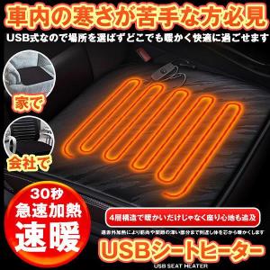 【激安 新店開き期間限定セール】ホットカーシート カーシートヒーター ヒータークッション 極暖 速暖 車 運転席 助手席 電熱 USB 電気マット