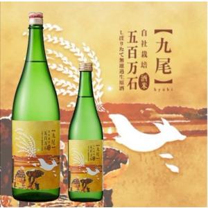 4月26日発売 クール配送 【九尾】自社栽培米 五百万石 しぼりたて無濾過生原酒　1800ml