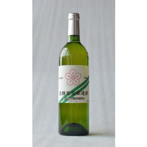 日本ワイン　渡邊葡萄園醸造　那須ワイン　赤ワイン　２本セット 000000000049_cwdS2PF.jpg