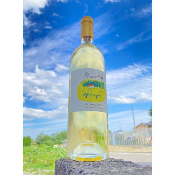 ワイズ・ブラン 白 750ml　デラウエア シャルドネ使用 栃木 那須塩原市 ワイズヴィンヤーズ　要...