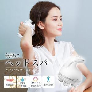 アムウェイ ニュートリライト 家庭用美容器 ヘッドスパ Amway