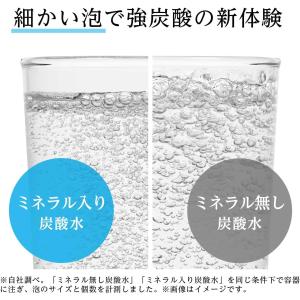 ミネラルストロング 伊藤園 ラベルレス 強炭酸...の詳細画像2