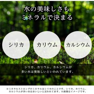 ミネラルストロング 伊藤園 ラベルレス 強炭酸...の詳細画像3