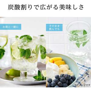 ミネラルストロング 伊藤園 ラベルレス 強炭酸...の詳細画像4