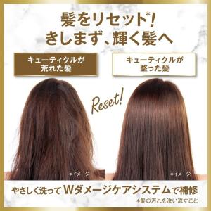LUX(ラックス) ルミニーク シャンプー ボ...の詳細画像3