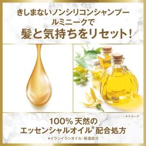LUX(ラックス) ルミニーク シャンプー ボ...の詳細画像5