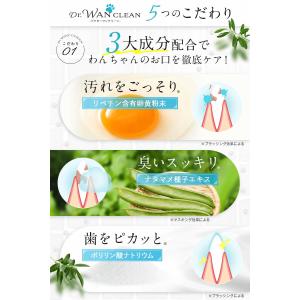 犬 歯磨き粉 【獣医師共同開発】 歯磨きジェル...の詳細画像4