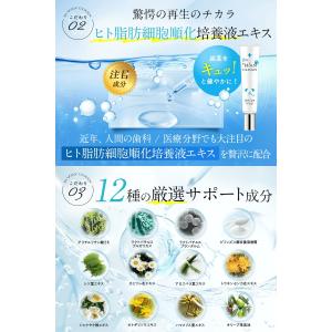犬 歯磨き粉 【獣医師共同開発】 歯磨きジェル...の詳細画像5