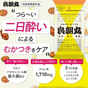 良朝丸 【ウコン末 1,710mg配合】[指定...の詳細画像2