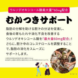 良朝丸 【ウコン末 1,710mg配合】[指定...の詳細画像5